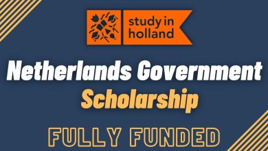 Netherlands scholarship opportunities 2024-2025